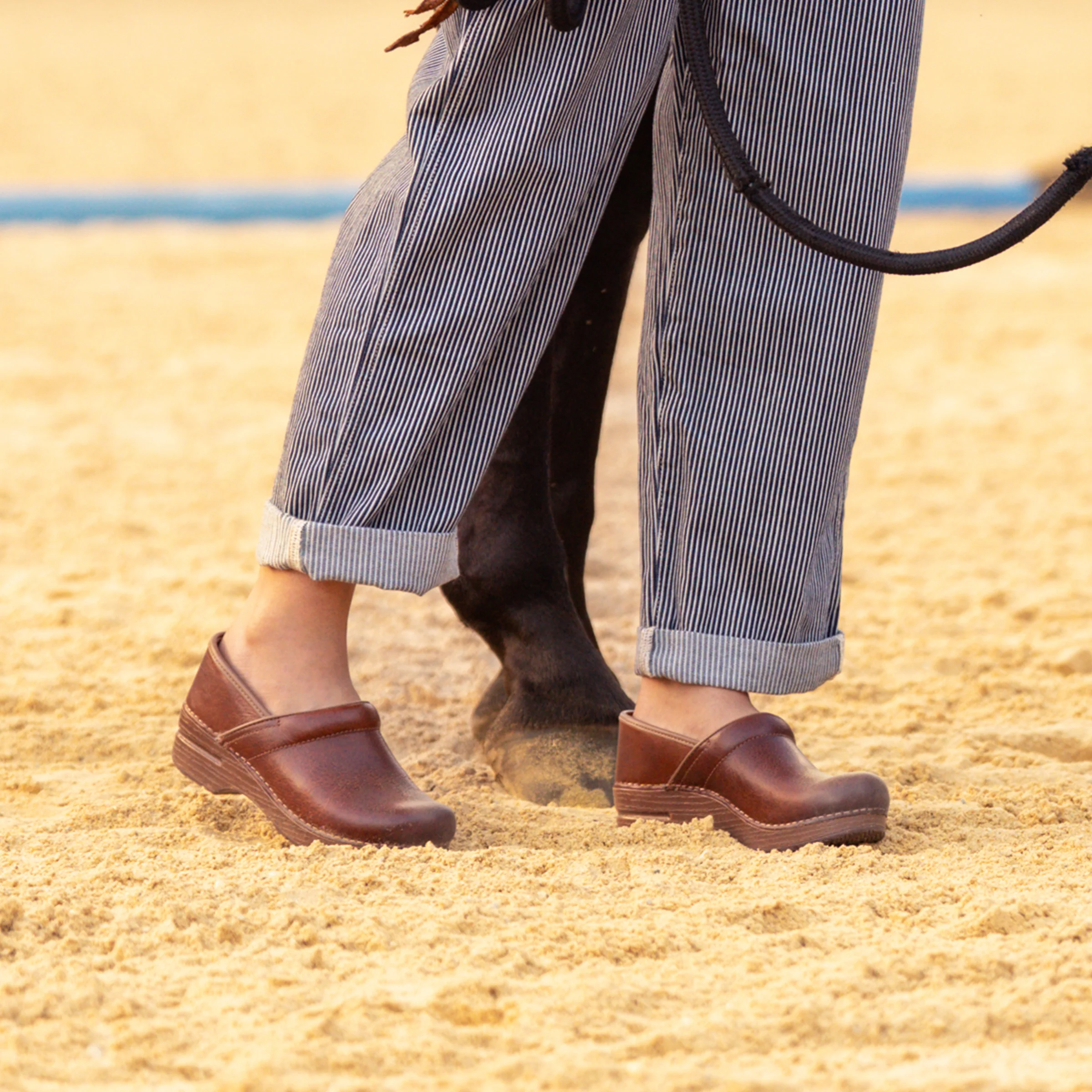 Professional Saddle Full Grain - Image 2